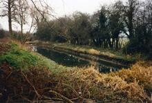 Widemarsh. 1989
