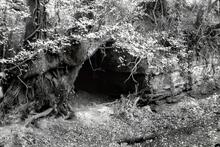 Hereford & Gloucester Canal: Leggers' refuge, Oxenhall Tunnel (Ref: 046802)