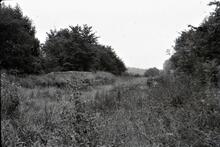 Bed of canal/aqueduct.