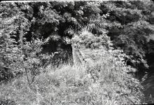 Leominster Canal. Teme Aqueduct. 1966