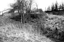 Leominster Canal. Area of cutting collapse towards Southnett Tunnel, Northwest end. 1954 or 1957