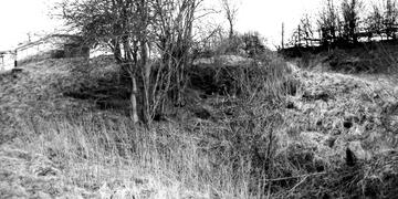 Leominster Canal