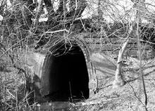 Leominster Canal. Southnett Tunnel, Southeast end. 1954 or 1957