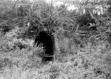Leominster Canal. Southnett Tunnel. Approach to the Southeast portal. September 1973