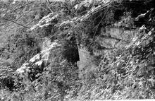 Leominster Canal. Southnett tunnel. Southeast  portal. Brick side-wall of the supporting wall. 1973.