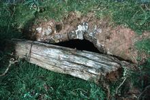 Leominster Canal. S.E. entrance to Newnham Tunnel (94 yards) near Oxnaus Farm. 14 October 1985