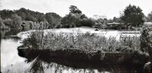 Chadbury Weir and lock. 1961