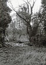 Bidford Grange Lock site. 1961 