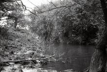 Remains of Welford Lock. 1960