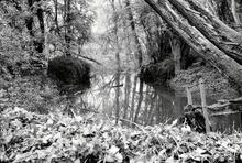 Harvington Lock.