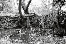 Harvington Lock.