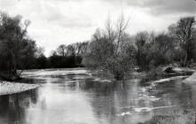 Harvington Weir. 1961 