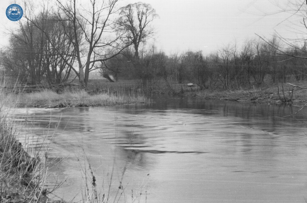 Cut leading to Luddington Upper Lock. 1960