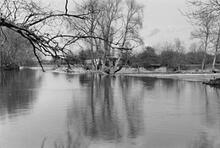 Harvington Weir. 1960