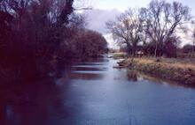 Harvington Lock Cut. March 1970