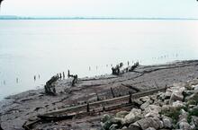 Lydney foreshore, boat graveyard. August 1979