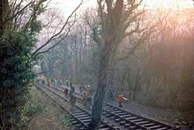 Hay Inclined Plane. March 1976