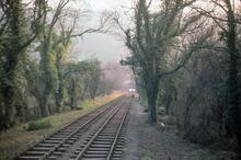 Hay Inclined Plane. March 1976