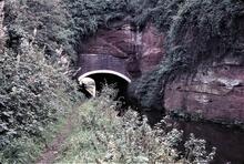 Staffordshire and Worcestershire Canal: Dunsley Tunnel 31