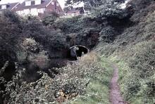 Staffordshire and Worcestershire Canal: Dunsley Tunnel 31