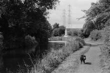 Near Wombourne Bridge, Staffs & Worcs Canal