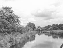 North from Wightwick Mill Lock (30) towards Bridge 59, 31 May 1971