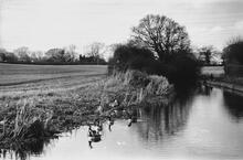Possibly Staffs & Worcs Canal near Awbridge