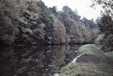 Staffordshire and Worcestershire Canal