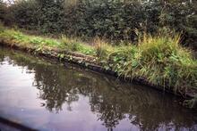 Sandbag Edging, Staffs. & Worcs. Canal, October 1976