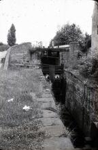 Stourbridge Canal: Lock pair at Buckpool