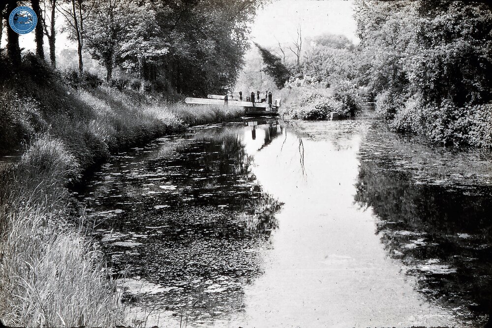 Stourbridge Canal: Lock 3 Stourton Lock Flight  