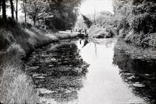 Stourbridge Canal: Lock 3 Stourton Lock Flight  
