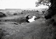 Stourbridge Canal: Wordsley Junction Bridge for town arm and canal
