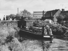Cactus at Lock 2, 29 May 1966