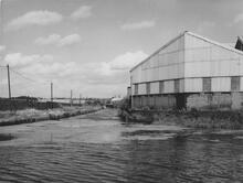 Leys Junction looking into Fens Branch, 18 September 1983