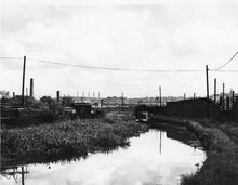 Above Leys Bridge at Brockmoor, 29 May 1967
