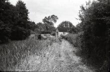 Derelict Canal below Kingswood. 1961