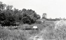 Disused section, derelict locks and weed filled canal
