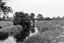 Disused section, weed filled section, looking towards a split bridge and lock