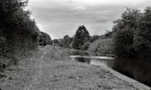 View along canal at Countess Coppice Embankment