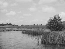 North of Bridge 57, Tardebigge, 7 June 1965