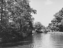 North of Shortwood Tunnel, 7 June 1965
