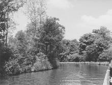 North of Shortwood Tunnel, 7 June 1965