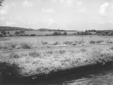 Southern Bittell Lake from Canal, 7 June 1965