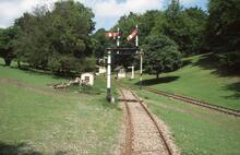 Line at bottom of bank. Fawley Hill Railway 8 June 2003  (Ref 017397E)