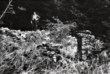 Thomas Telford 9/8/1757 - 2/9/1834: Remains of Telford’s birthplace, a shepherds shieling