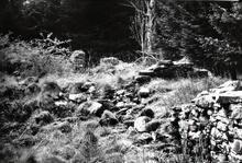 Thomas Telford 9/8/1757 - 2/9/1834: View of remains of Telford’s birthplace 