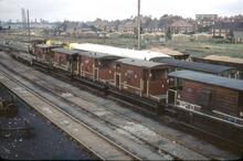 017120    BR brake vans in a line. Hereford 22 November 1980
