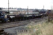 017117  BR 22t plate wagons in departmental use. Hereford 22 November 1980