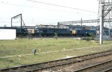 017164  40007 BR diesel electric loco, Class 40 40007. Crewe 25 May 1983